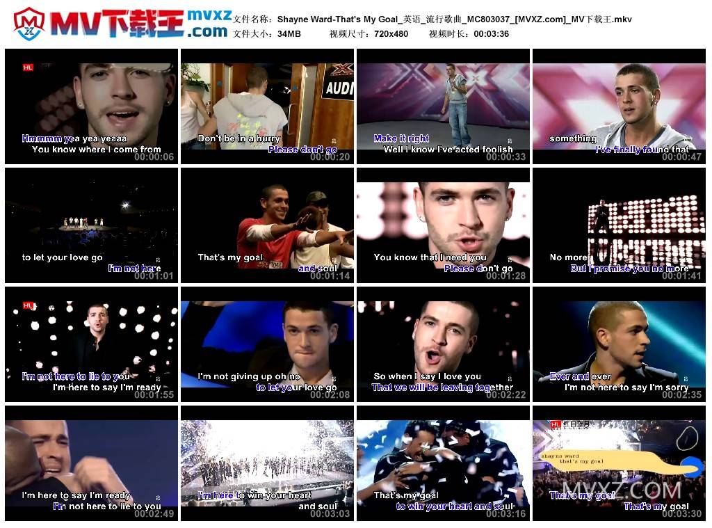 Shayne Ward-That's My Goal_英语_流行歌曲_MC803037
